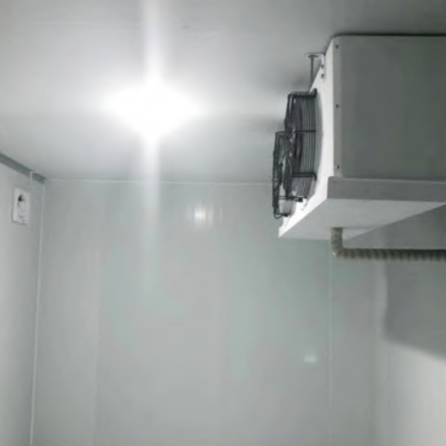 Commercial Cold Room Storage – Customizable Walk-In Freezer