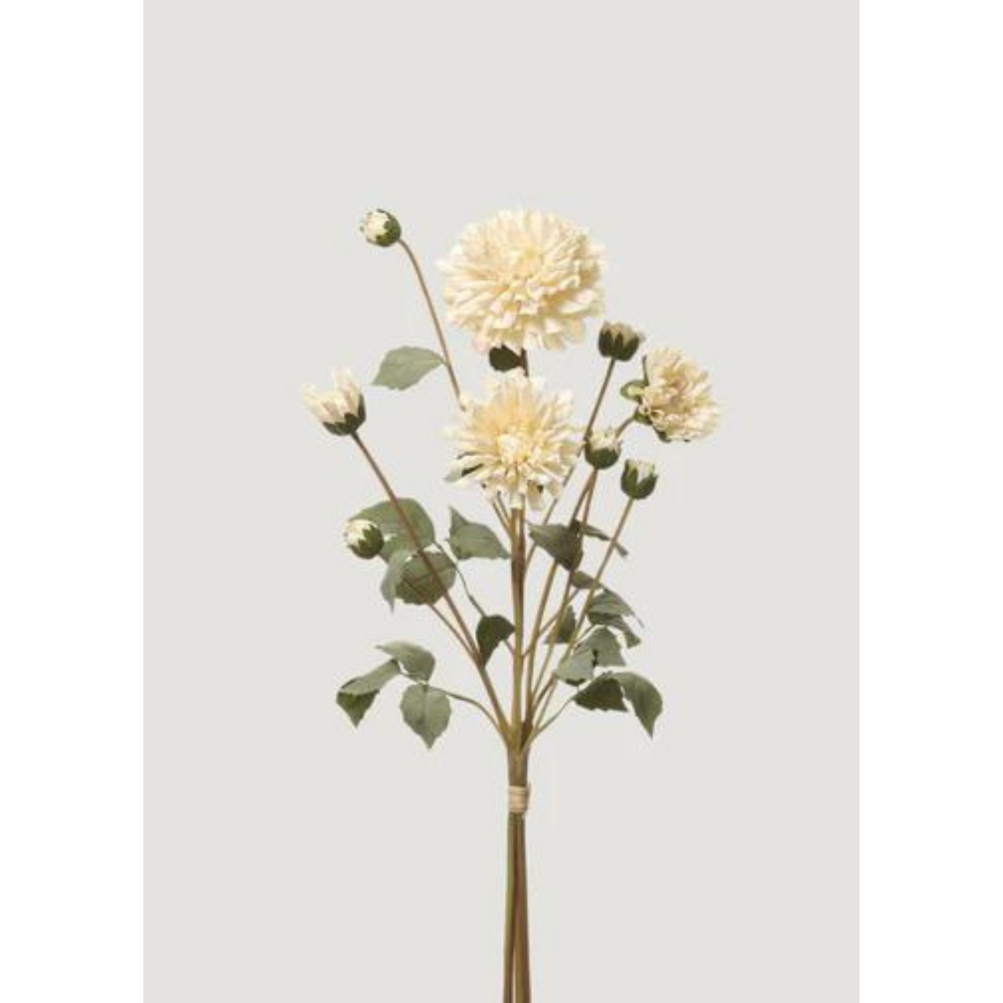Cream Faux Dahlia Flower Bundle – 20 Inch Artificial Floral Arrangement