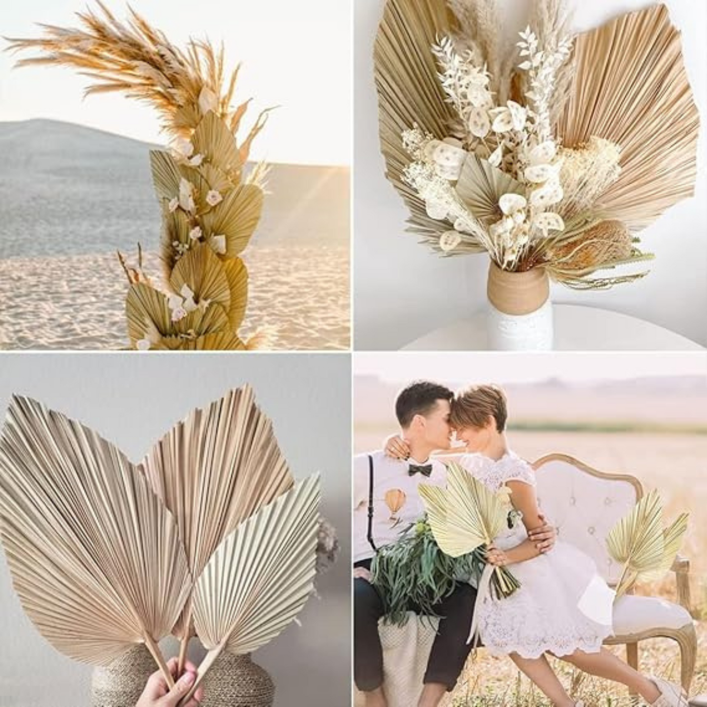 Dried Palm Leaves 18" Large Natural Trimmed Palm – Preserved Plant