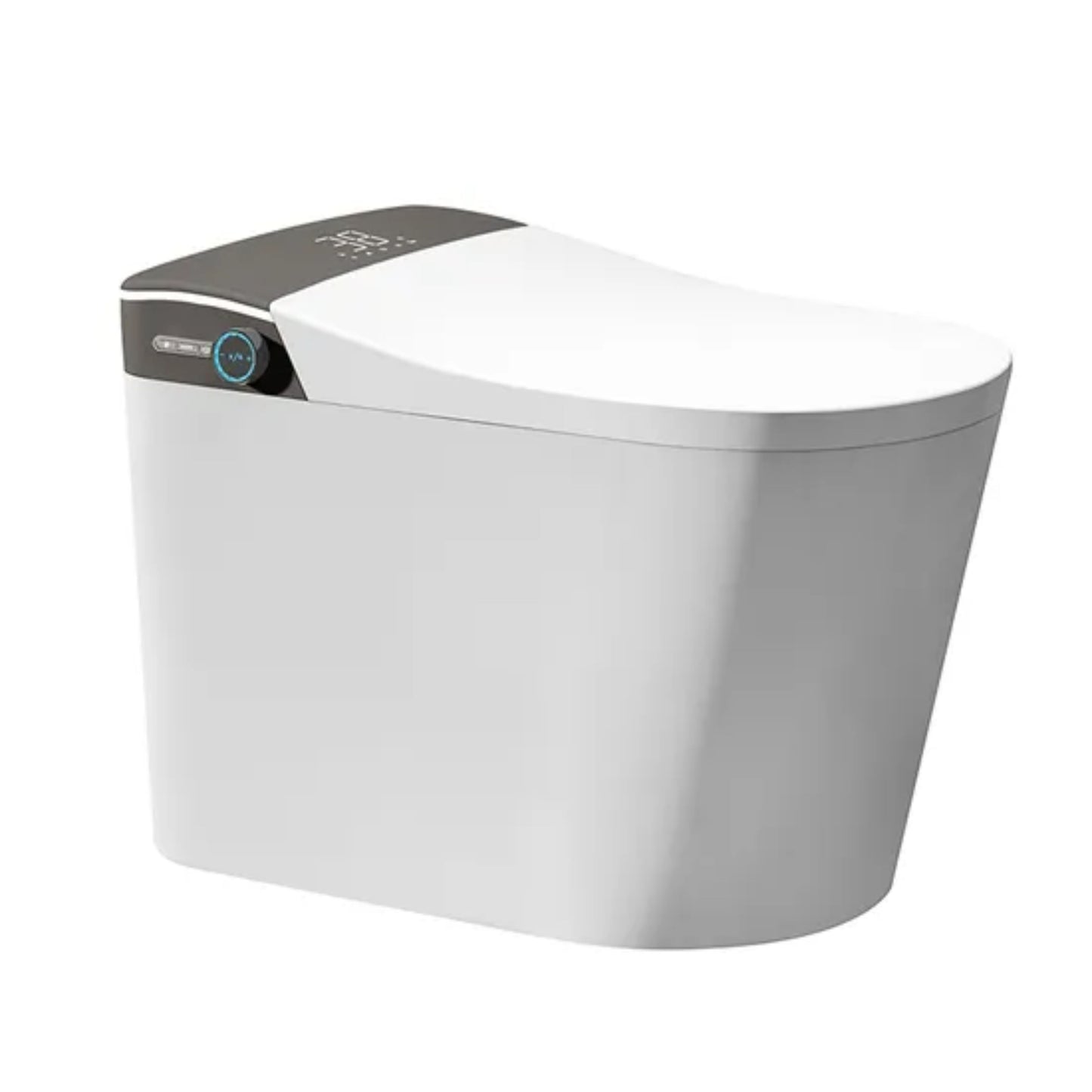 Instant Heating Ceramic Bidet Toilet Seat 9013