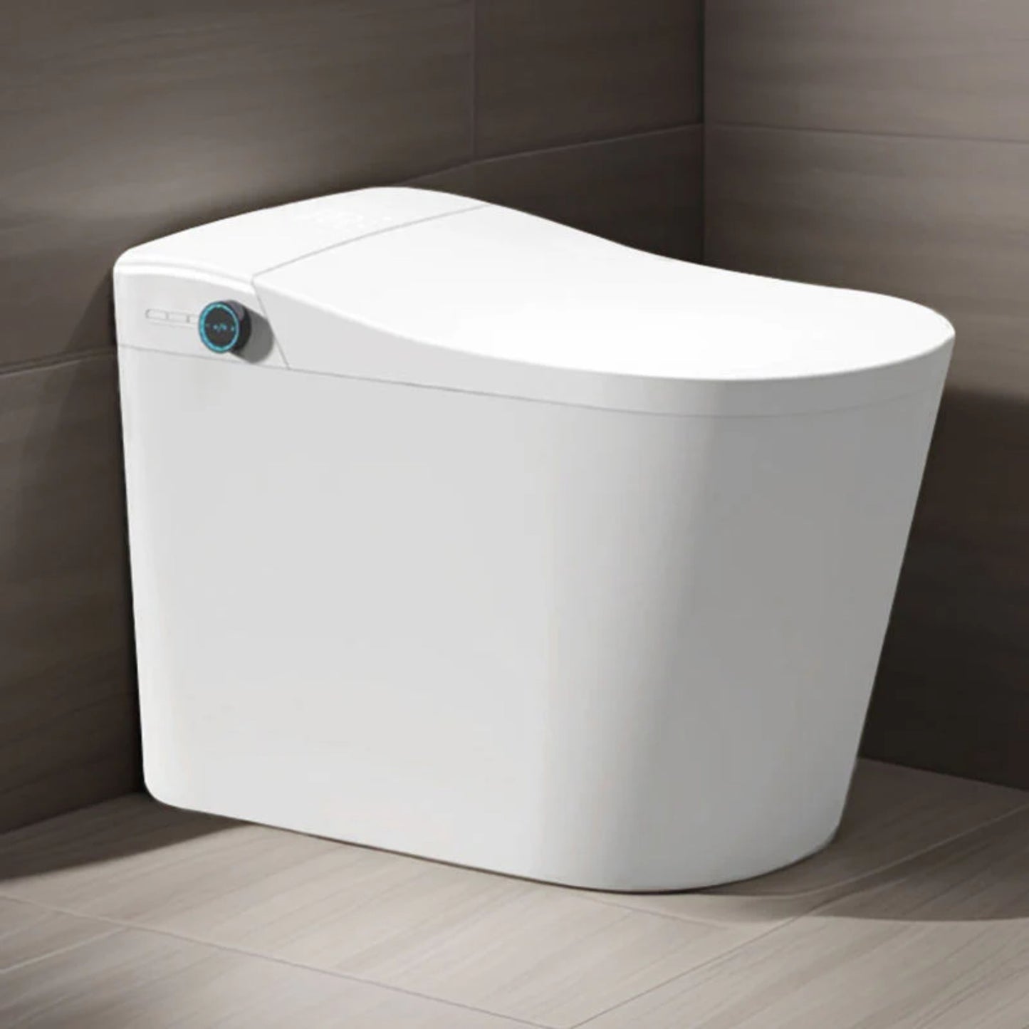 Instant Heating Ceramic Bidet Toilet Seat 9013