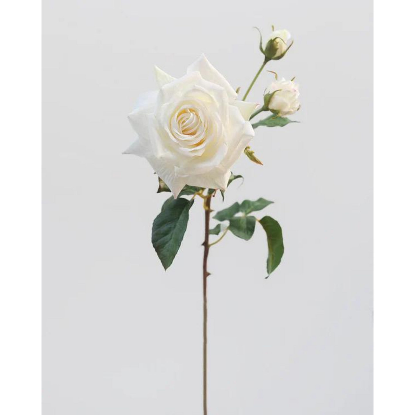 Real Touch Prestige Rose in White and Blue – 22in