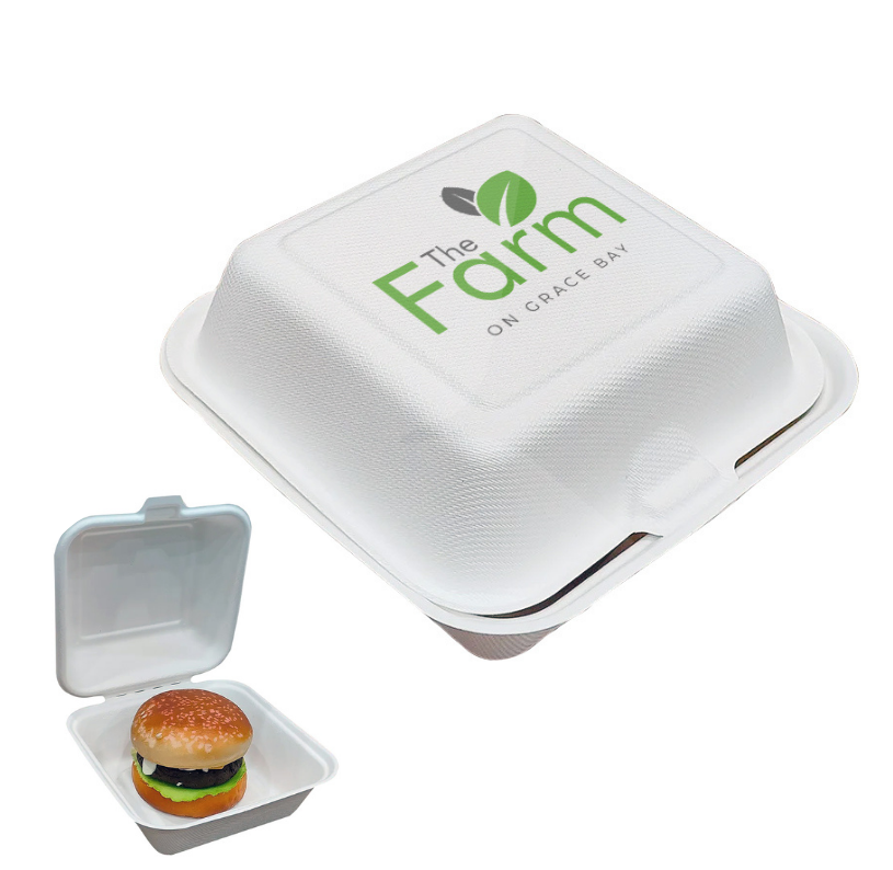 Eco-Friendly To-Go Boxes – Kraft Paper, Paper Board, White Cardboard & Bagasse