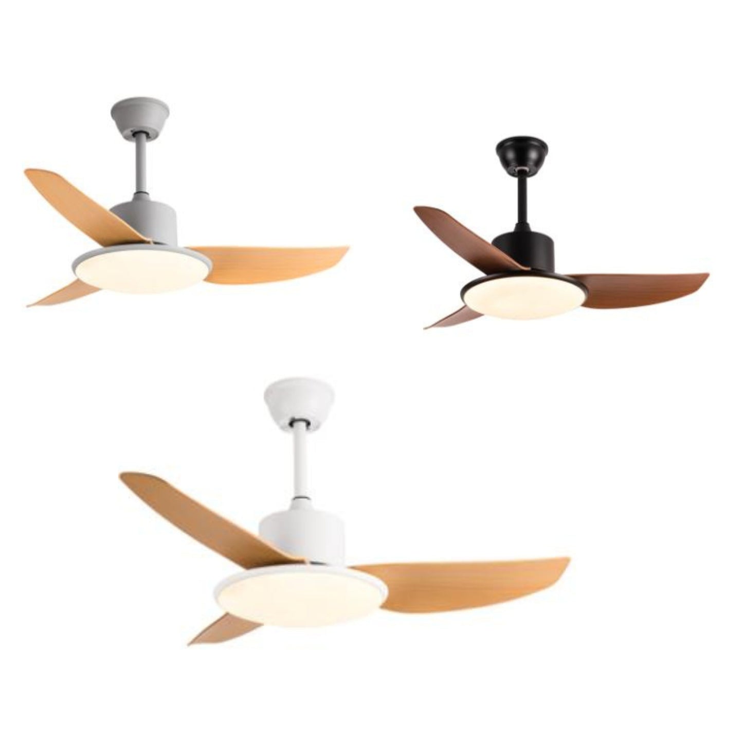 Ceiling Fan – Model 648A1