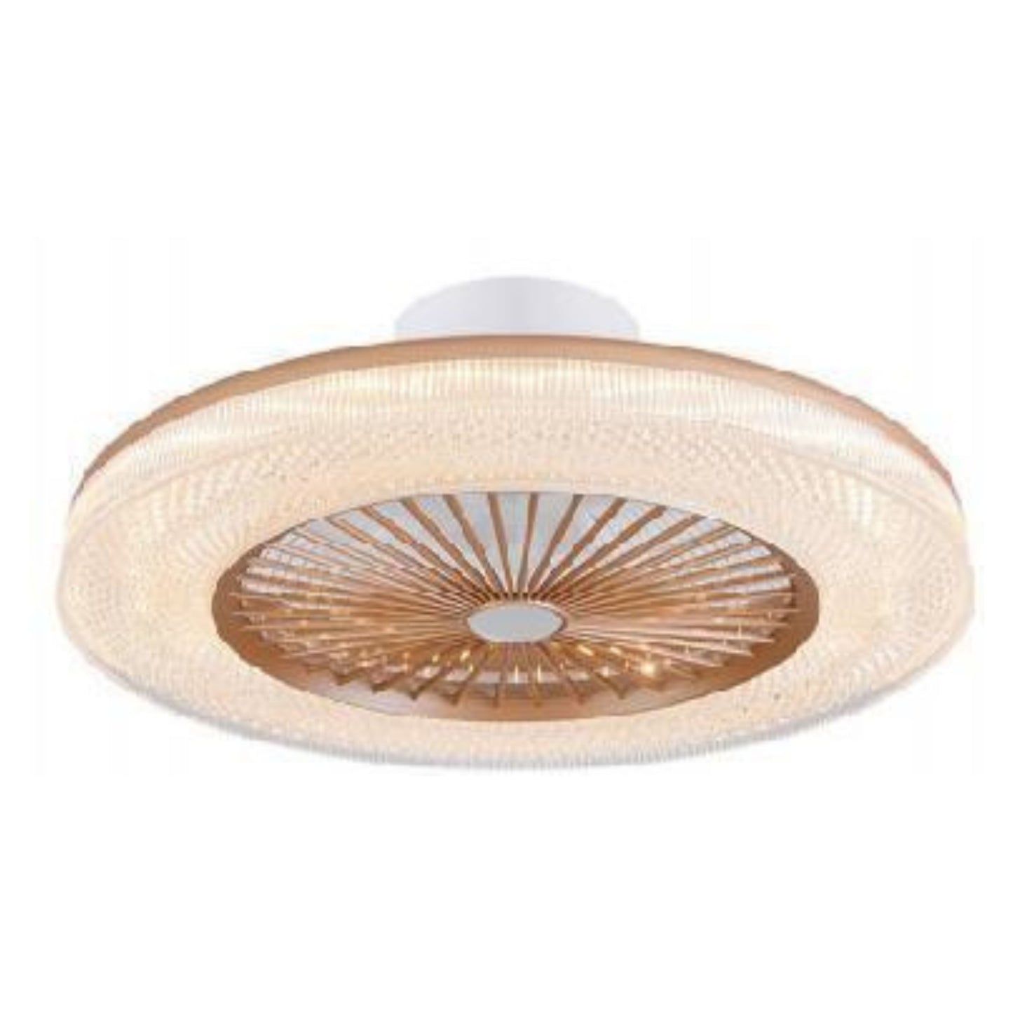 Ceiling Light – Model 1293C