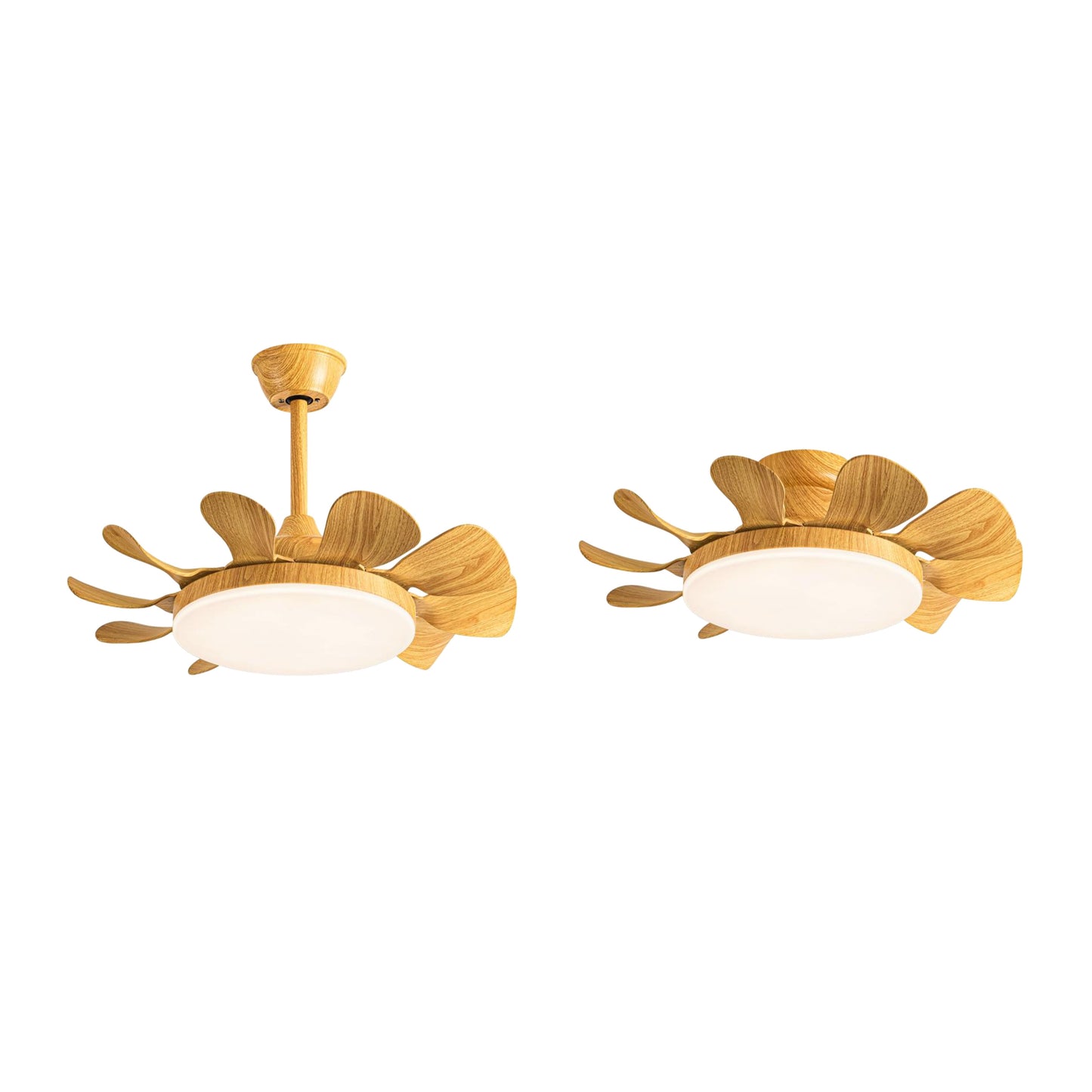 Ceiling Fan – Model 715A2