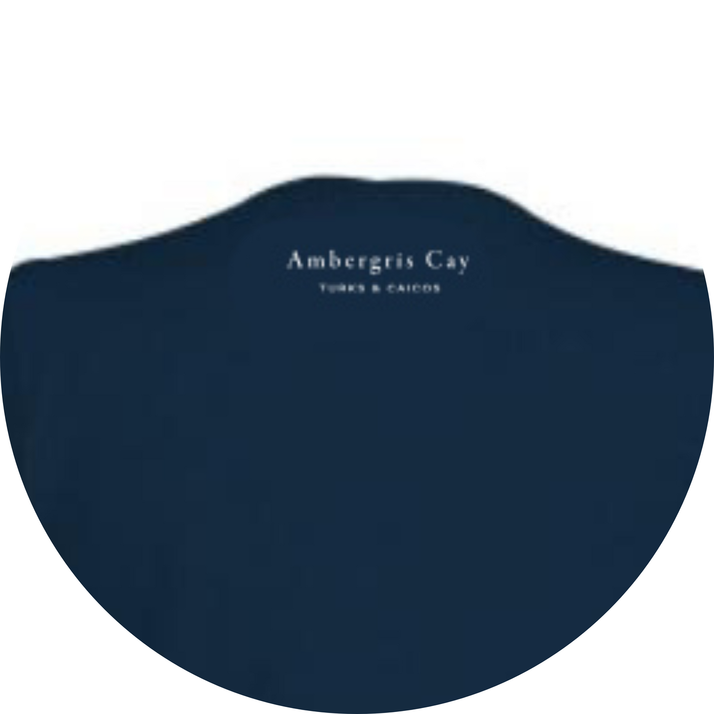 Women's Cotton V-Neck Shirt – Customizable & Comfortable