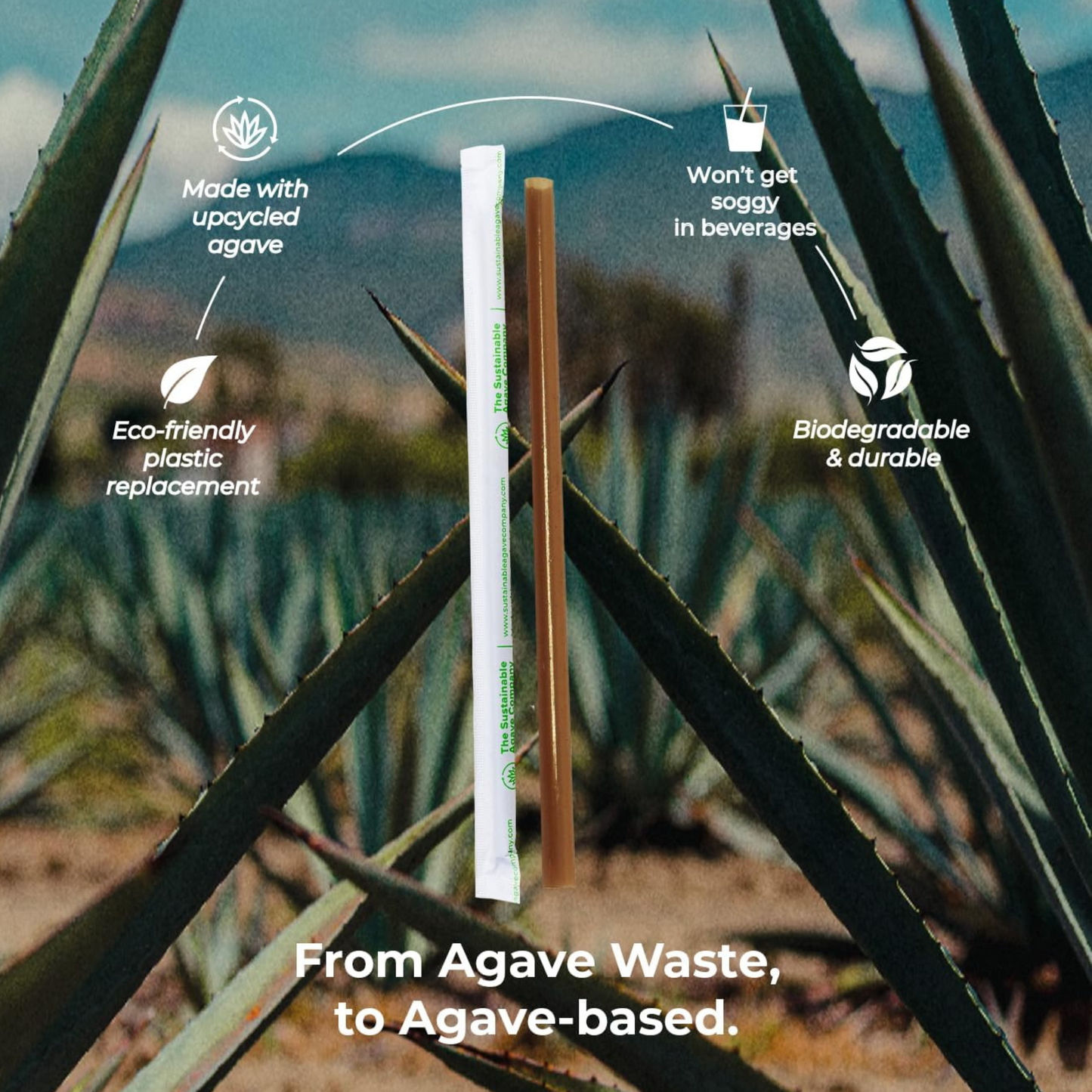 1000-Pack Individually Wrapped Agave Fiber Straws – Biodegradable & Durable