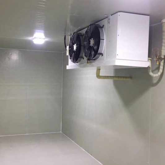 Commercial Cold Room Storage – Customizable Walk-In Freezer