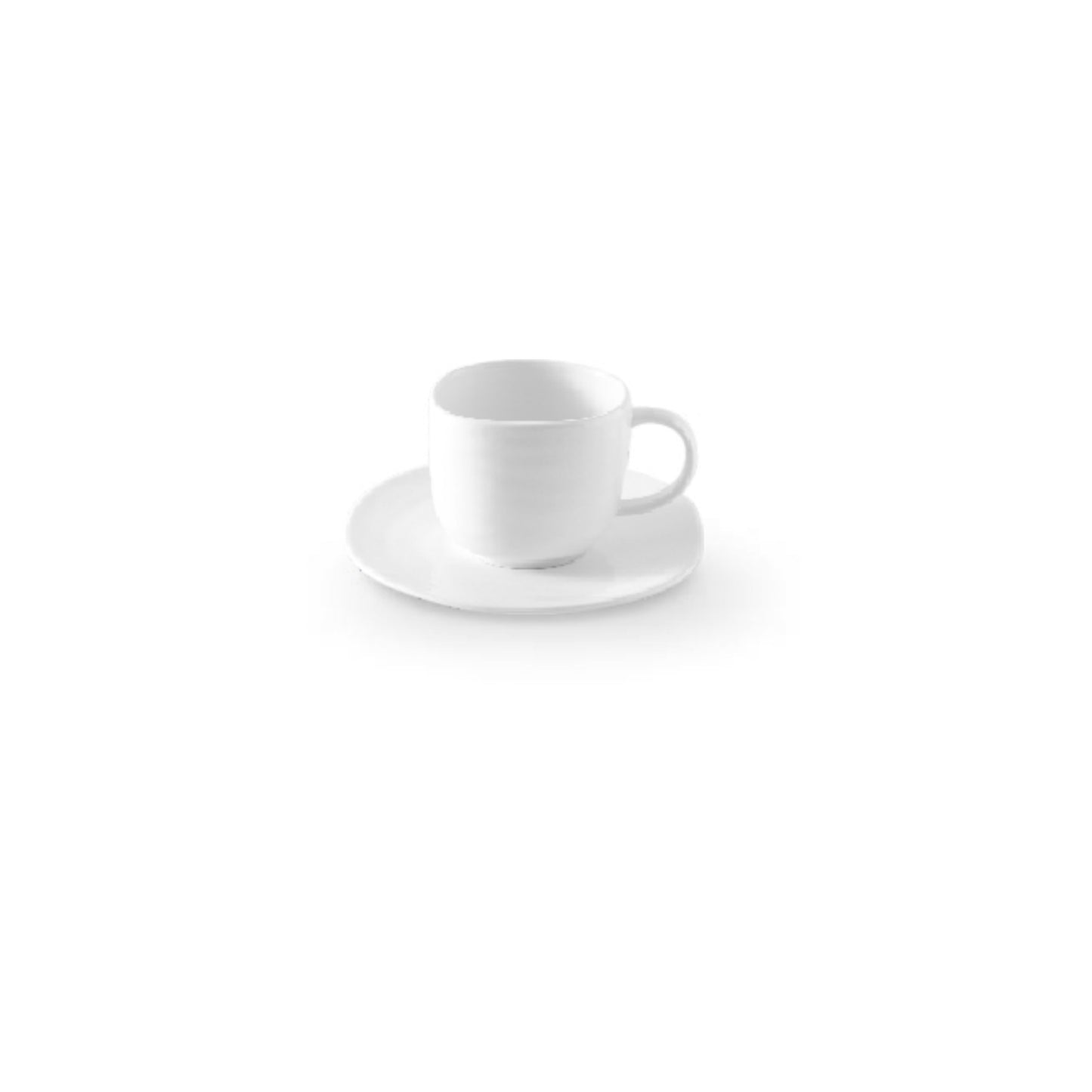 Cup and Saucer Set A26840 / A26841
