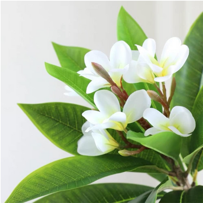 Artificial Plumeria Flowers in White and Blue – 10in
