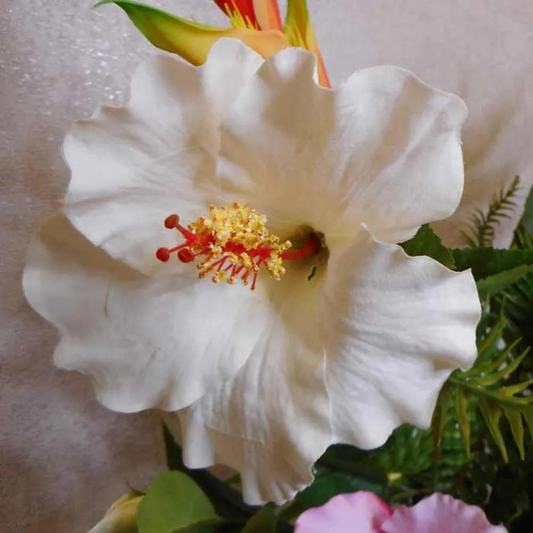 Artificial Hibiscus Flowers in White and Blue
