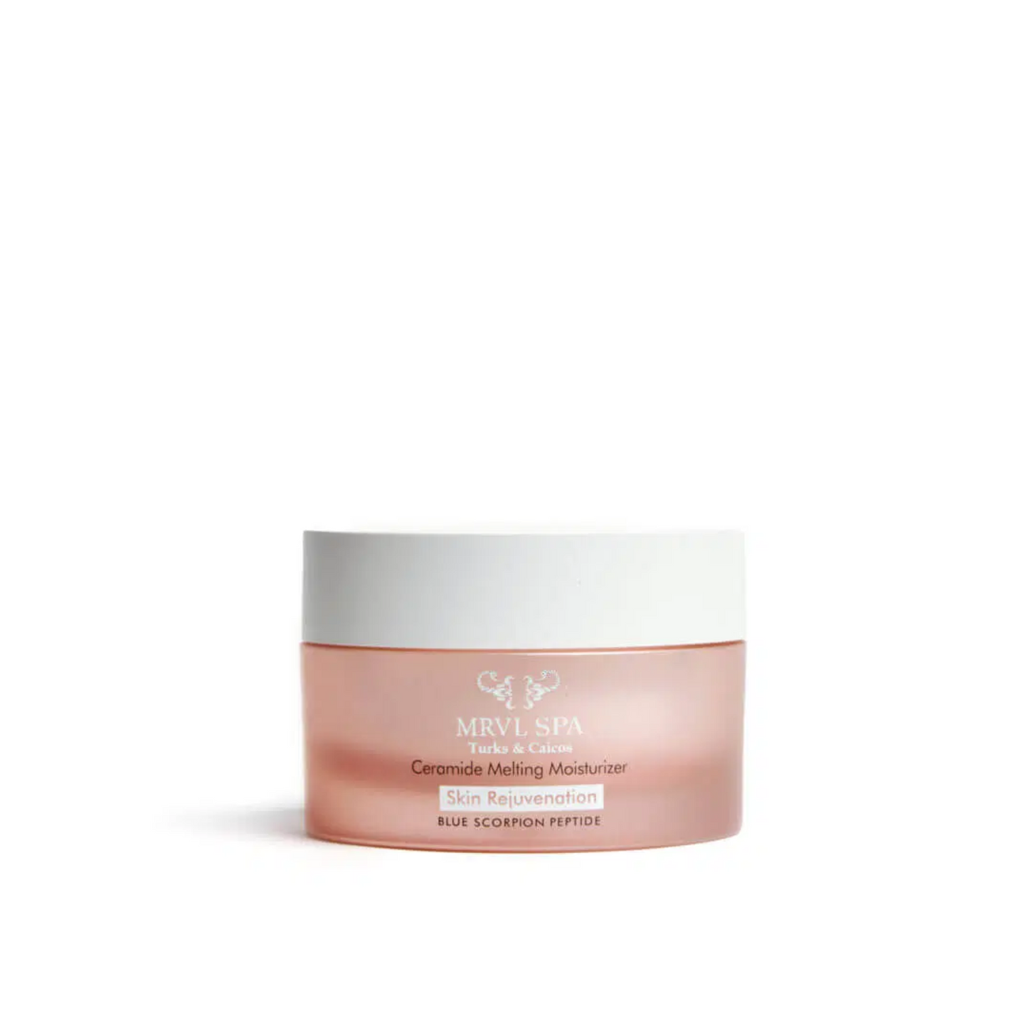 Ceramide Melting Moisturizer – Deep Hydration & Elasticity Boost