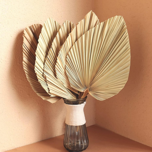 Dried Palm Leaves 18" Large Natural Trimmed Palm – Preserved Plant
