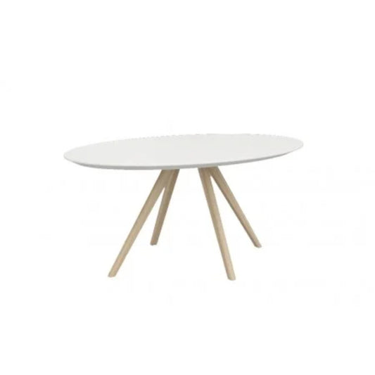 Minimalist Wooden Coffee Table LT66652