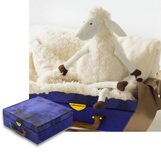 Lamb Welcome Gift – Soft, Cuddly & Heartwarming