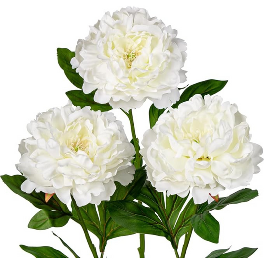 Artificial Silk Peony Flowers in White – 77cm