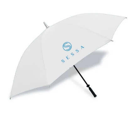 Royal Blue and Silver Umbrella – Stylish, Windproof & Durable