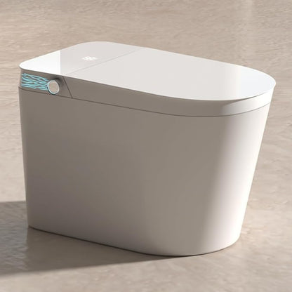 Smart Toilet T9011 with Instant Heating and Custom Voltage