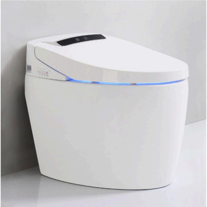 Smart Toilet T9003 with Instant Heating and Custom Plug