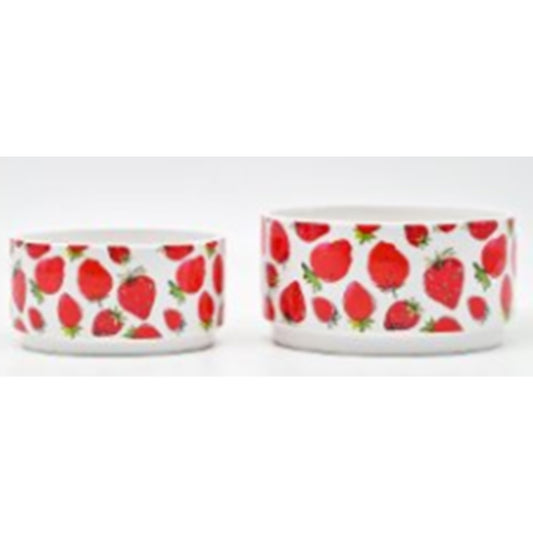Wide Shallow Flower Pot Set NPF3344 & NPF3345