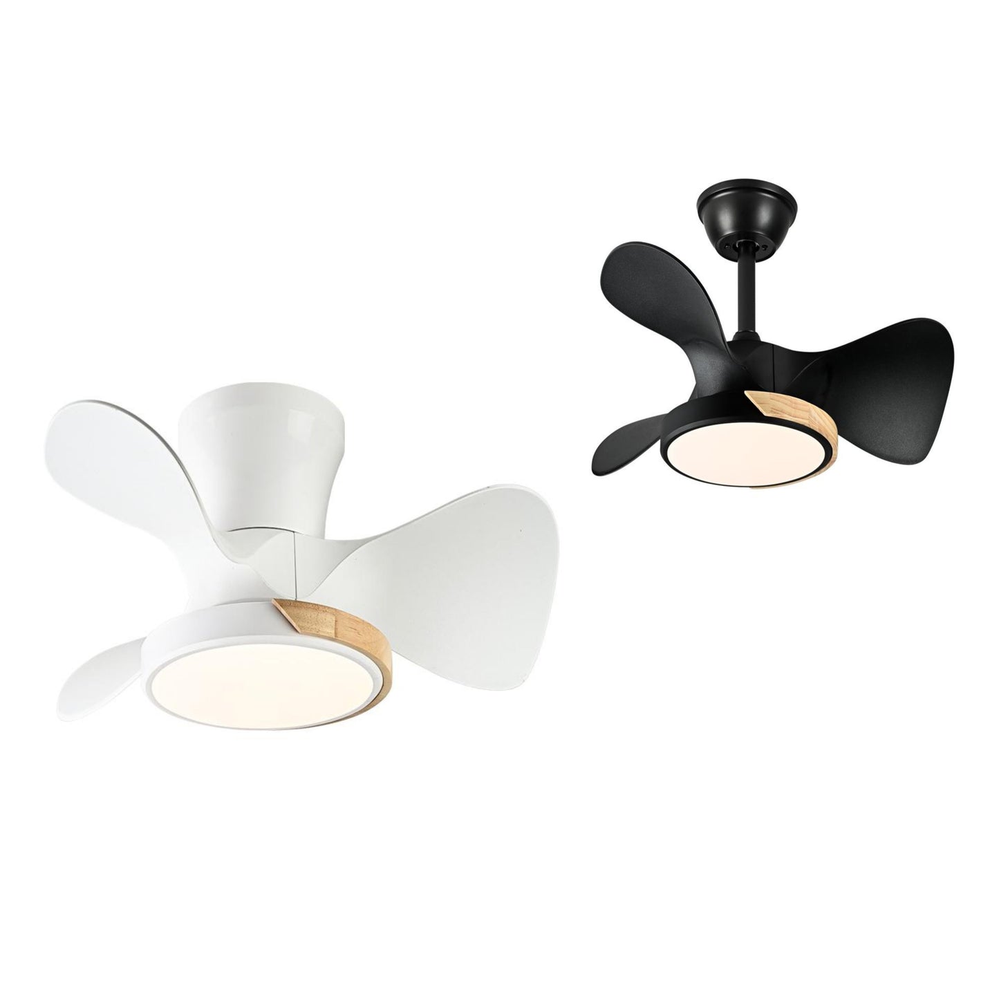 Ceiling Fan – Model 704A1