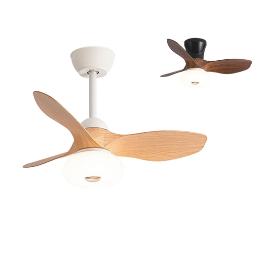 Ceiling Fan – Model 672A