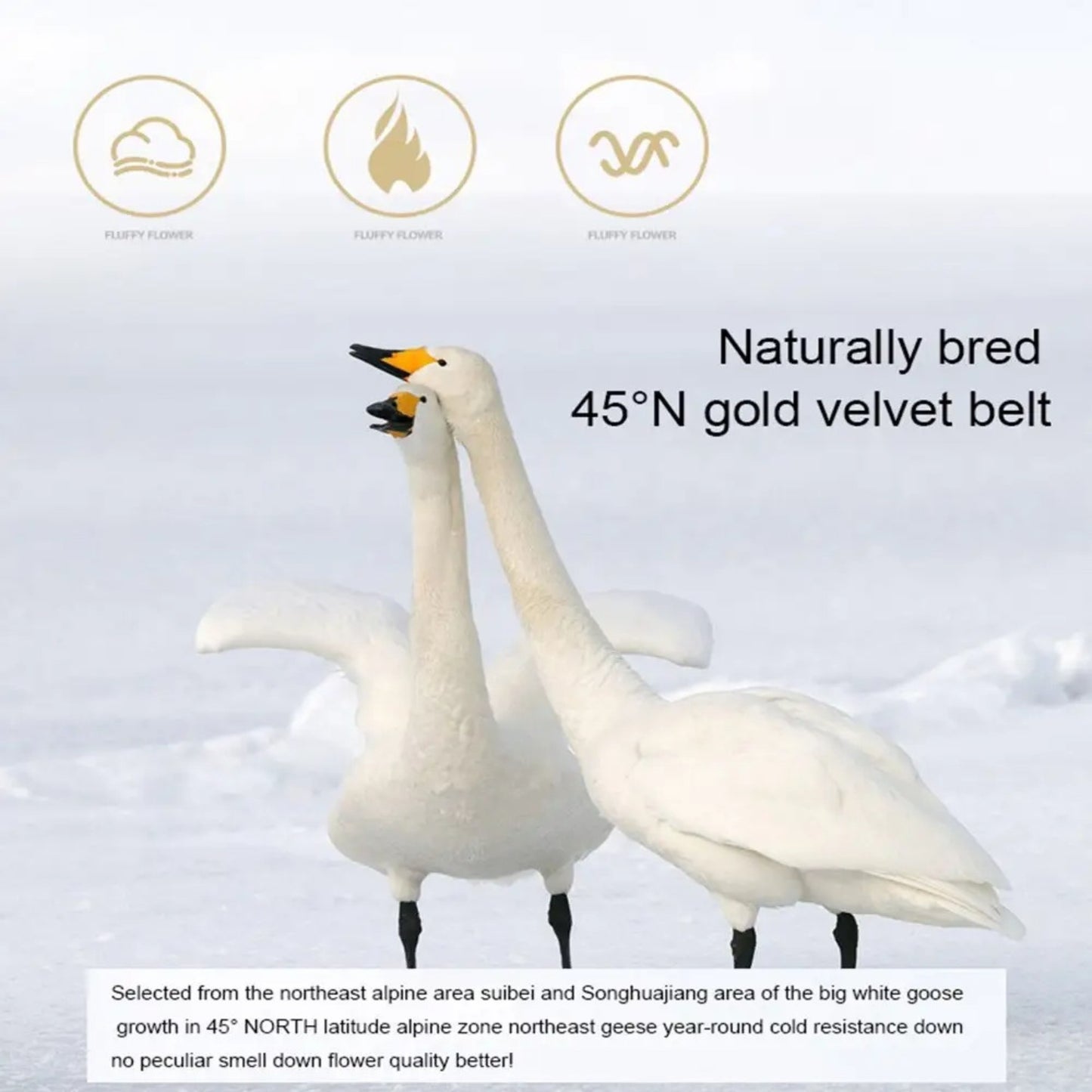 Deluxe Goose Down Feather Pillow