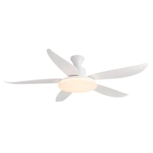 Ceiling Fan – Model 648B