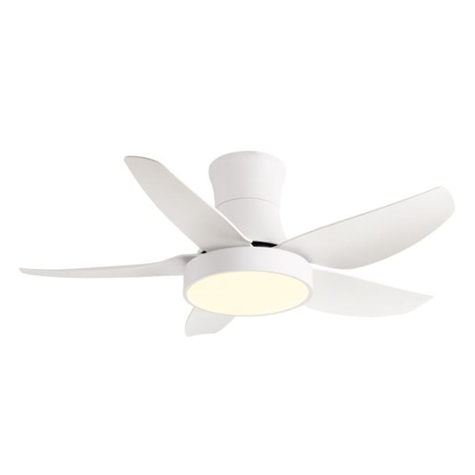 Ceiling Fan – Model 647A