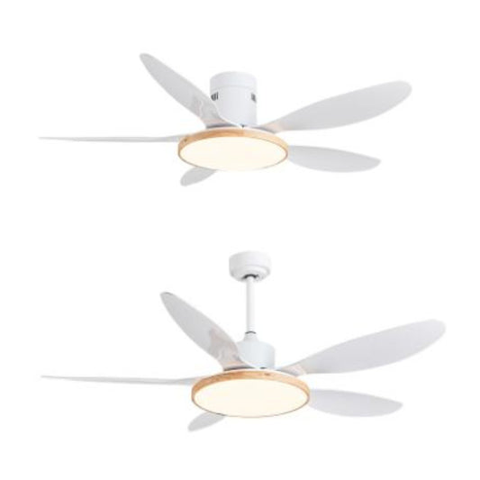 Ceiling Light – Model 635B