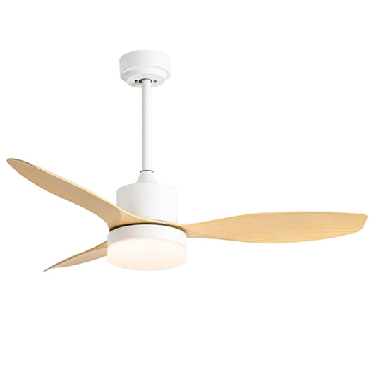 Ceiling Fan – Model 610D