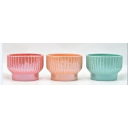 Stylish Compact Flower Pot NPF23113