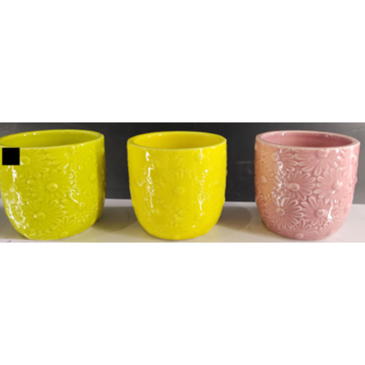 Mini Decorative Flower Pot NPF3367