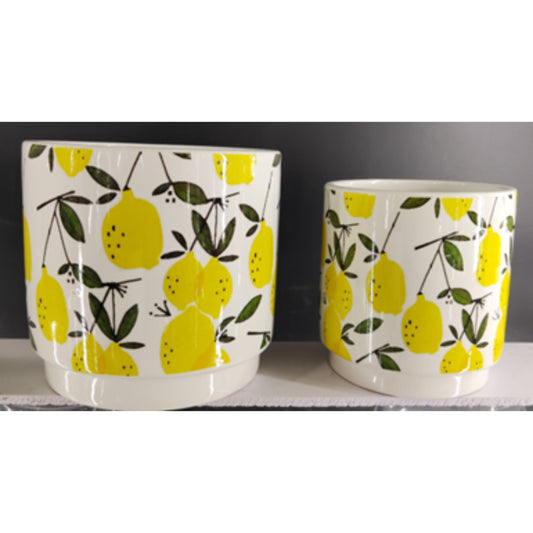 Stylish Round Flower Pot Set NPF3338 & NPF3337