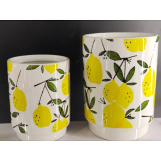 Tall Decorative Flower Pot Set NPF3339 & NPF3340