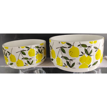 Wide Shallow Flower Pot Set NPF3344 & NPF3345