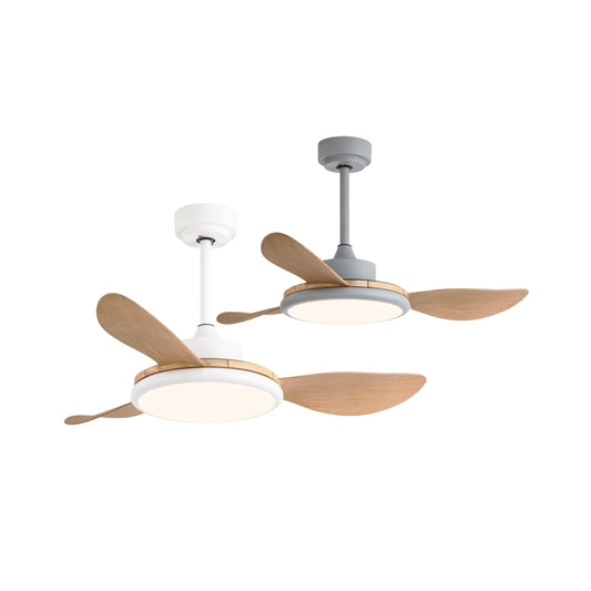 Ceiling Fan – Model 644-3