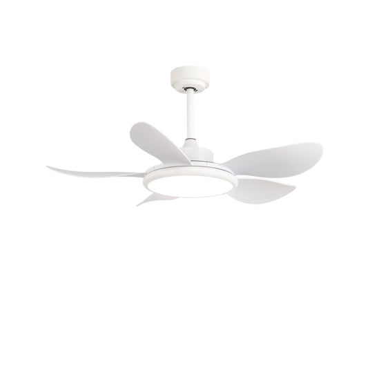 Ceiling Fan – Model 644-5