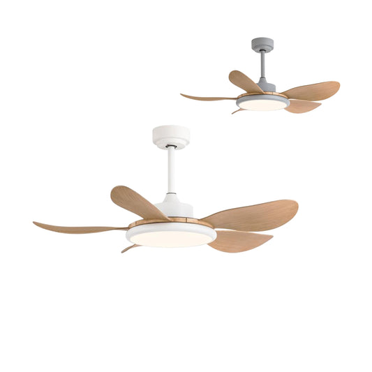 Ceiling Fan – Model 644-5