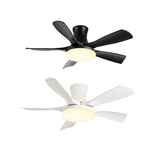 Ceiling Fan – Model 721B4