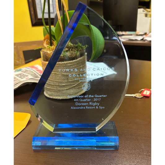 Custom Crystal Plaque – Elegant UV Printed Award for Recognition