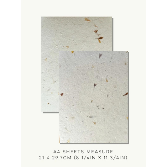Eco-Friendly Seed Paper A4 Sheet – 21x29.7cm Plantable Stationery